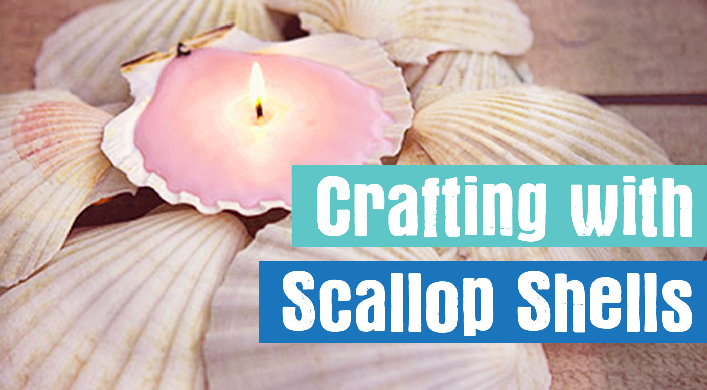 Scallop Shell Crafts